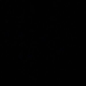 Meet your Posher, Jenn